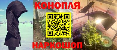 трава Будённовск