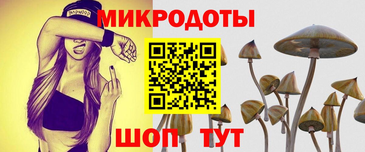 Новомосковск  Галлюциногенные грибы MAGIC MUSHROOMS  Вход с VPN  Псилоцибиновые грибы мицелий 
